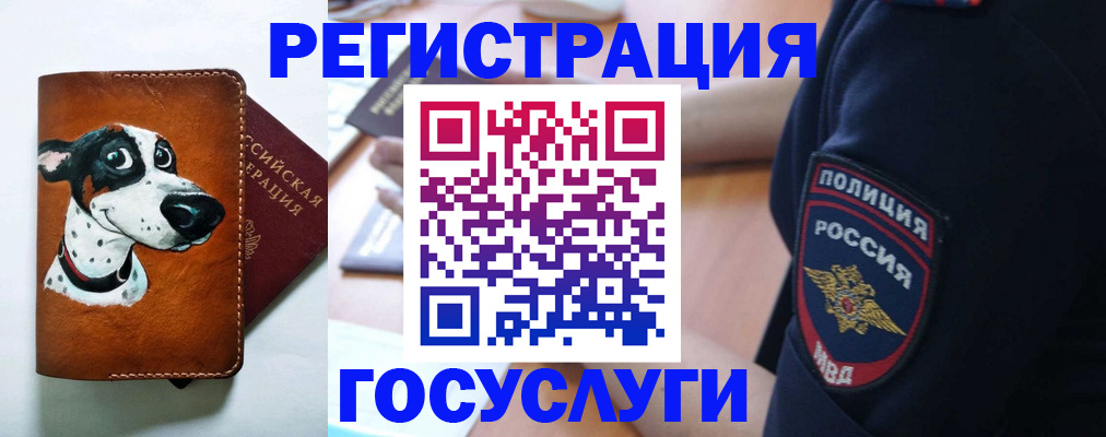 временная регистрация в квартире в Белой Калитве